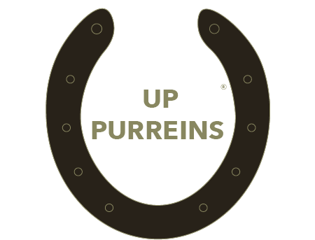 Purreins Frequency